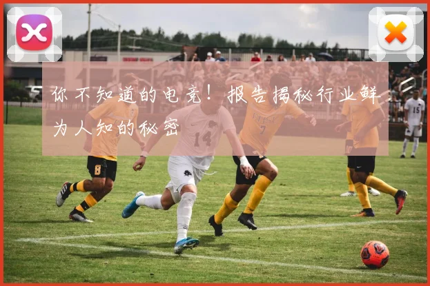 你不知道的电竞！报告揭秘行业鲜为人知的秘密